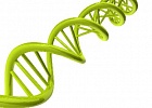 Medical Genomics – наш надёжный партнёр! Medical Genomics – наш надёжный партнёр!